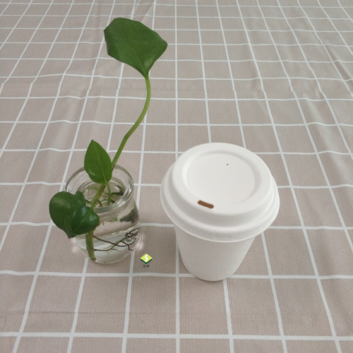 Vaso y tapa biodegradables de pulpa de caña de azúcar.