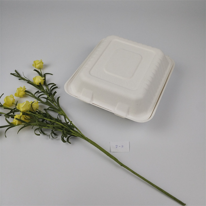 Caja biodegradable para alimentos de 8 pulgadas