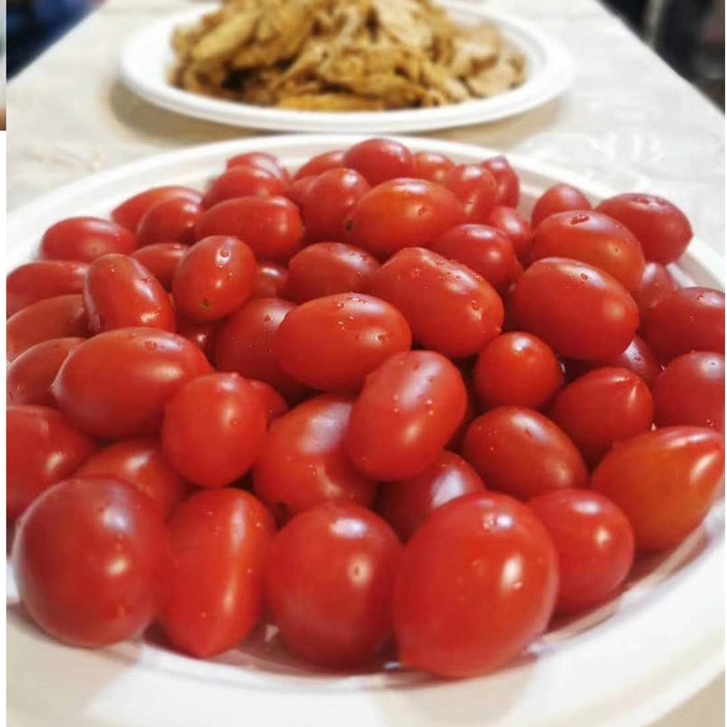 Platos de vajilla de bagazo de pulpa de fibra